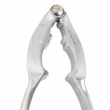 Tenaza Partidor Langosta / Nuez 15cm - Winco