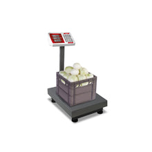 Bascula Plataforma - BAPLE-100 - Rhino